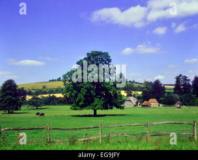 Weald et Downland musée vivant. South Downs. West Sussex. L'Angleterre. UK Banque D'Images