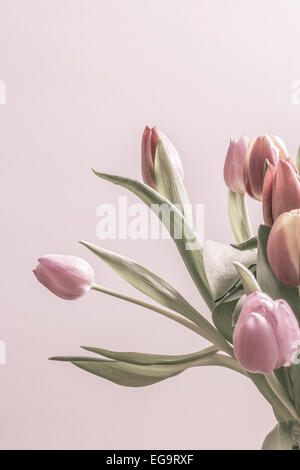 Groupe de tulipes vintage rose doux en couleur. Vertical image avec l'exemplaire de l'espace. Banque D'Images