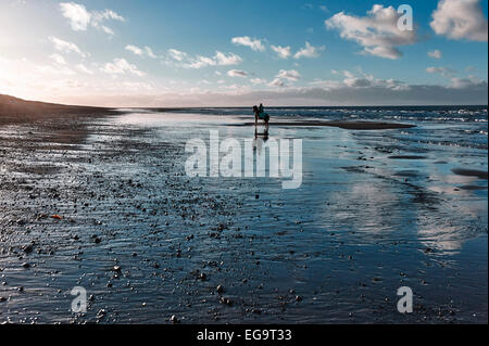 Cavalier solitaire sur une plage de sable à marée basse Banque D'Images