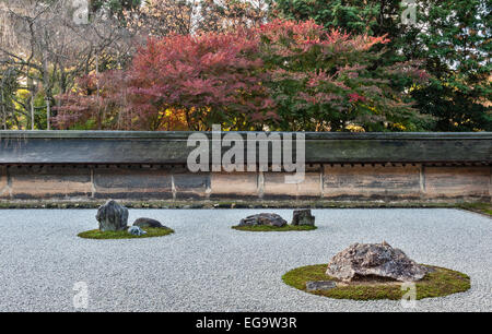 Couleur automne (automne) au jardin du temple zen Ryoan-ji, Kyoto, où les arbres surplombent l'ancien mur de ce célèbre jardin de gravier sec 15c (Kare-sansui) Banque D'Images