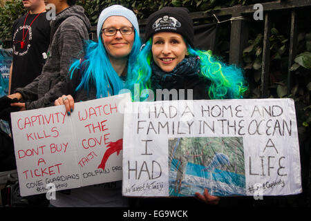 Londres, Royaume-Uni. 20 Février, 2015. Des dizaines de manifestants manifester devant l'ambassade du Japon à Londres contre le massacre des dauphins à Taiji Journée d'action pour les dauphins. Les manifestations sont fréquentes, tenue par les militants des droits des animaux qui s'opposent à l'abattage des dauphins au Japon's Taiji Cove ainsi que des sites touristiques où les dauphins et les orques sont maintenus en captivité. Crédit : Paul Davey/Alamy Live News Banque D'Images