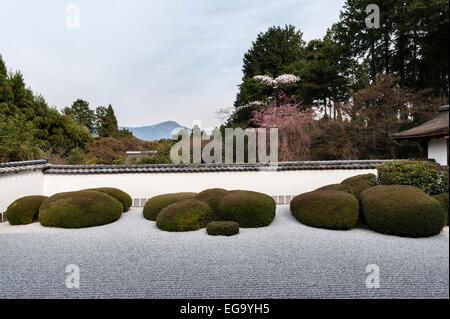 Un exemple de 'shakkei' ou 'paysage emprunté' - une vue du Mont Hiei lointain dans le jardin de Kare-sansui (gravier sec) au temple bouddhiste Shoden-ji, Kyoto Banque D'Images