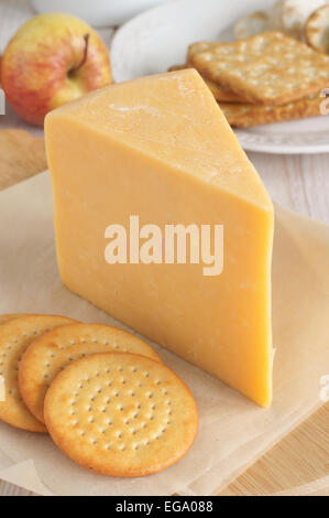 Le Double Gloucester un traditionnel disque semi crémeuse au fromage britannique Banque D'Images