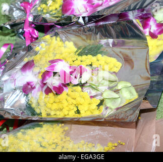 Mimosa et orchid pour la journée de la femme le 8 mars Banque D'Images