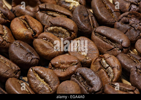 Macro de grains de café torréfiés portant en rangs avec profondeur de champ étendue. Lumière dure. Banque D'Images