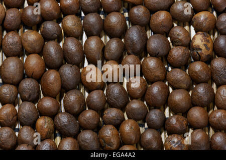 Les grains de café torréfiés portant sur un matelas de paille avec profondeur de champ étendue. Jeter les haricots à l'envers. Banque D'Images