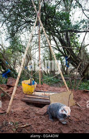 Bristol, Royaume-Uni. 20 Février, 2015. Les militants qui sont l'interdiction de construire à partir d'un nouveau projet Metrobus à Bristol affirment qu'ils sont prêts à résister à l'expulsion par des huissiers qui ils attendent de descendre sur le site à tout moment. Les manifestants, qui se qualifient de se lever, ont occupé tree-top camps pendant 19 jours et ont creusé des tunnels dans le but de résister à la dépose. La Haute Cour a accordé un permis de possession pour Bristol City Council il y a une semaine. Credit : Redorbital Photography/Alamy Live News Banque D'Images