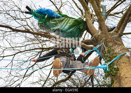 Bristol, Royaume-Uni. 20 Février, 2015. Les militants qui sont l'interdiction de construire à partir d'un nouveau projet Metrobus à Bristol affirment qu'ils sont prêts à résister à l'expulsion par des huissiers qui ils attendent de descendre sur le site à tout moment. Les manifestants, qui se qualifient de se lever, ont occupé tree-top camps pendant 19 jours et ont creusé des tunnels dans le but de résister à la dépose. La Haute Cour a accordé un permis de possession pour Bristol City Council il y a une semaine. Credit : Redorbital Photography/Alamy Live News Banque D'Images