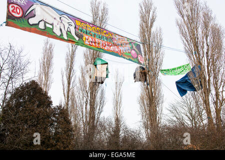 Bristol, Royaume-Uni. 20 Février, 2015. Les militants qui sont l'interdiction de construire à partir d'un nouveau projet Metrobus à Bristol affirment qu'ils sont prêts à résister à l'expulsion par des huissiers qui ils attendent de descendre sur le site à tout moment. Les manifestants, qui se qualifient de se lever, ont occupé tree-top camps pendant 19 jours et ont creusé des tunnels dans le but de résister à la dépose. La Haute Cour a accordé un permis de possession pour Bristol City Council il y a une semaine. Credit : Redorbital Photography/Alamy Live News Banque D'Images