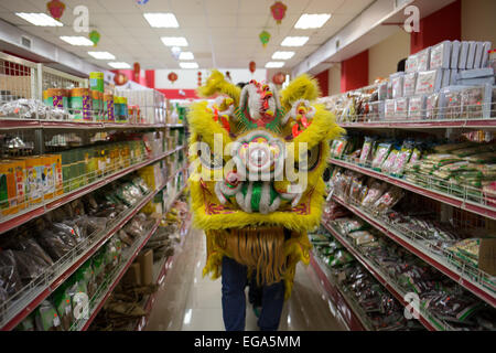 Santo Domingo. Feb 19, 2015. Photo prise le 19 février 2015, montre l'exécution de danseurs de danse du lion à l'intérieur d'un magasin au cours de la célébration de la Nouvelle Année lunaire chinoise, dans le quartier chinois, Santo Domingo, République dominicaine. Danse du Lion est une forme de danse traditionnelle en Chine qui s'effectue par deux danseurs et elle est généralement effectuée pour célébrer la Nouvelle Année lunaire chinoise. © Fran Afonso/Xinhua/Alamy Live News Banque D'Images