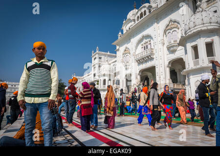 Un jeune homme pose devant le Temple d'or du Harmandir Sahib, Amritsar, Inde. Banque D'Images