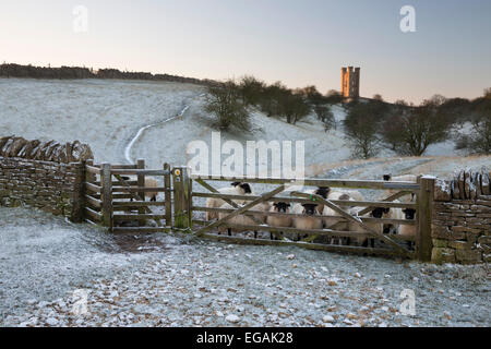 Broadway Tower et moutons en matin givre, Broadway, Cotswolds, Worcestershire, Angleterre, Royaume-Uni, Europe Banque D'Images