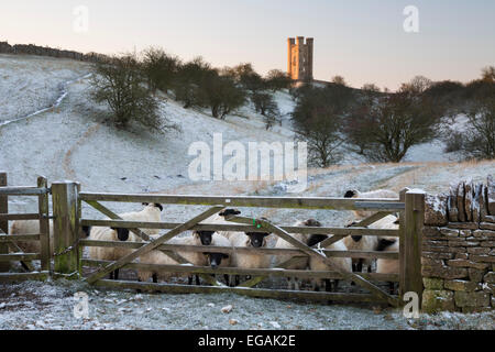 Broadway Tower et moutons en matin givre, Broadway, Cotswolds, Worcestershire, Angleterre, Royaume-Uni, Europe Banque D'Images