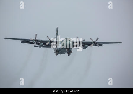 Lockheed C-130 Hercules militaire à l'atterrissage à Frei, King George Island, Antarctica Banque D'Images