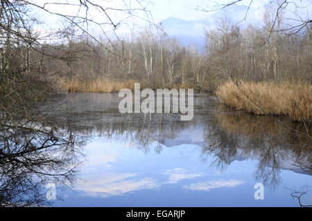 Paysage de landes et de marais et étang de marais de Lavours, en Savoie, France Banque D'Images