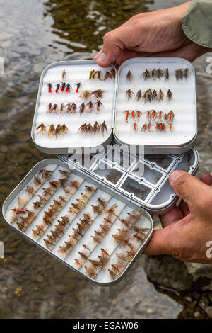 Pêche à la mouche dans la rivière Ruhr Hattingen, Allemagne Banque D'Images