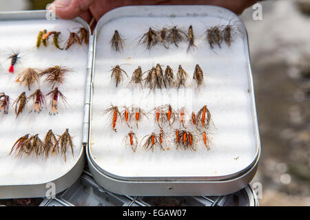 Pêche à la mouche dans la rivière Ruhr Hattingen, Allemagne Banque D'Images