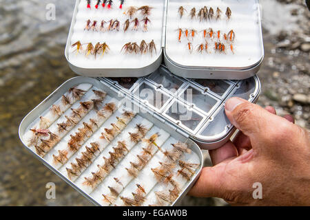 Pêche à la mouche dans la rivière Ruhr Hattingen, Allemagne Banque D'Images