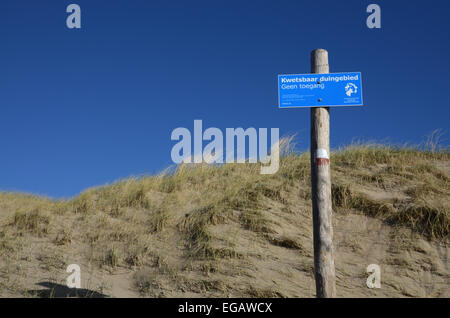 Paysage de dunes vulnérables, Hollande du Nord, Pays-Bas Banque D'Images