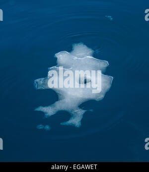 Vestige d'iceberg flottant comme un puzzle, Cierva Cove, l'Antarctique Banque D'Images