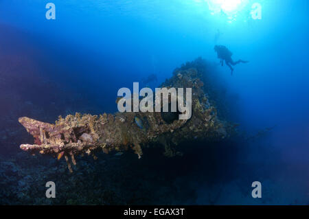 En wreckship Carnatik à plongeur. Mer Rouge, Sharm El Sheikh, Egypte Banque D'Images