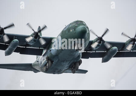 Lockheed C-130 Hercules militaire à l'atterrissage à Frei, King George Island, Antarctica Banque D'Images