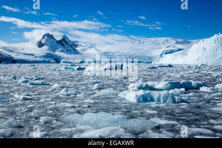 Brash, icebergs, glaciers et montagnes, Cierva Cove, l'Antarctique Banque D'Images