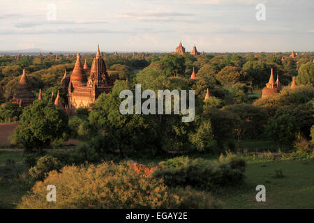 Vue sur les temples de Bagan, Myanmar, de la pagode Shwe san daw. Banque D'Images