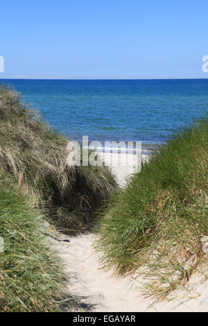 Chemin à travers les dunes de sable de la plage Banque D'Images