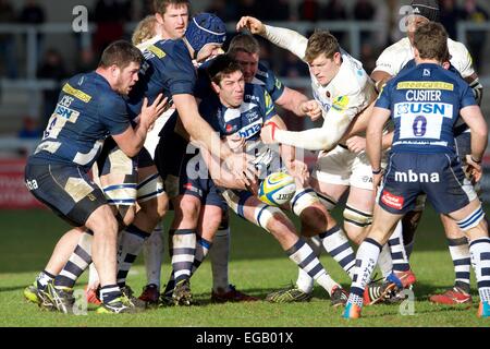 Vente, UK. Feb 21, 2015. Aviva Premiership Rugby. Sale Sharks contre les Sarrasins. Sale Sharks lock Nathan Hines. Credit : Action Plus Sport/Alamy Live News Banque D'Images