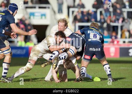 Vente, UK. Feb 21, 2015. Aviva Premiership Rugby. Sale Sharks contre les Sarrasins. Sale Sharks flanker Daniel Braid. Credit : Action Plus Sport/Alamy Live News Banque D'Images