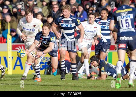 Vente, UK. Feb 21, 2015. Aviva Premiership Rugby. Sale Sharks contre les Sarrasins. Sale Sharks le demi de mêlée Chris Cusiter efface la balle. Credit : Action Plus Sport/Alamy Live News Banque D'Images