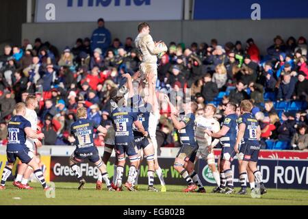 Vente, UK. Feb 21, 2015. Aviva Premiership Rugby. Sale Sharks contre les Sarrasins. Saracens prop Juan Figallo gagne une line out. Credit : Action Plus Sport/Alamy Live News Banque D'Images