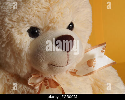 Un gros plan d'un ours blanc à poils doux portant un imprimé avec des pattes sur Banque D'Images