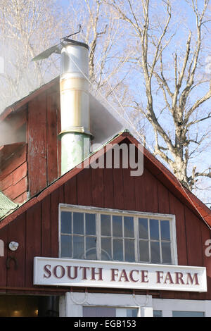 Une Nouvelle Angleterre l'érable à sucre a un restaurant d'entreprise ainsi que le hangar avec du sucre en acier inoxydable Hauteur de pile de fumée. Banque D'Images