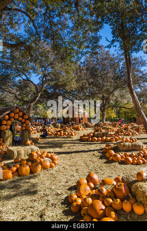 Le Village de citrouille à l'automne, Dallas Arboretum and Botanical Garden, Texas, États-Unis Banque D'Images