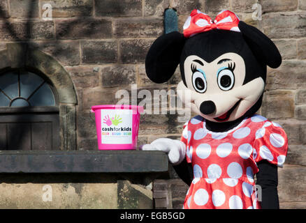 Blackpool, Lancashire, Royaume-Uni 21 février, 2015. Météo britannique. Rock FM Paiement pour les enfants est l'organisme officiel de Rock FM et fournit une aide aux personnes handicapées et les enfants défavorisés dans le Lancashire. Les collectionneurs de bienfaisance dans le parc de St Chad's Church l'église anglicane à Poulton-le-Fylde, réputé pour sa floraison du printemps affichage des bulbes de crocus. Fleurs de crocus sont habituellement parmi les premiers à apparaître au printemps. Leurs couleurs vives sont une vue, apparaître dans les lits de dormance et frontières avant d'autres plantes ont commencé à pousser. Credit : Cernan Elias/Alamy Live News Banque D'Images