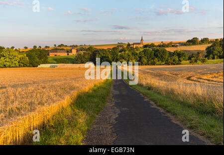 Une route de campagne menant à travers les champs d'or vers un village de l'Eifel, en Allemagne. Banque D'Images