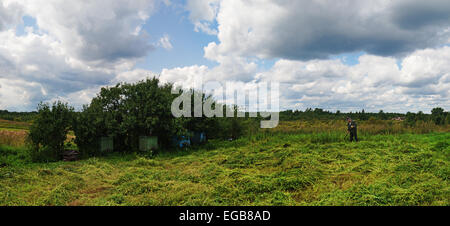 Couper l'herbe sur village garden. Banque D'Images