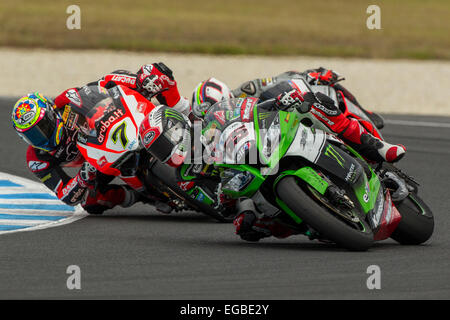 Circuit du Grand Prix de Phillip Island, en Australie. 22 Février, 2015. Vainqueur de Jonathan Rea (65) conduit Chaz Davies (7) et Leon Haslam en coin Honda pendant la Race 1. Credit : Russell Hunter/Alamy Live News Banque D'Images