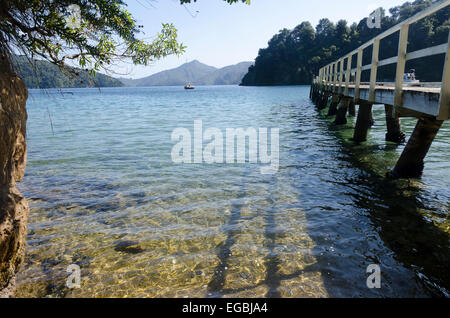 Whenuanui Bay, Marlborough Sounds, île du Sud, Nouvelle-Zélande Banque D'Images