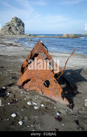 Reste de l'épave du navire 'Tuvalu' sur la plage près de rochers, Honeycomb, Glenburn Wairarapa, île du Nord, Nouvelle-Zélande Banque D'Images