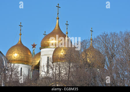 Sites touristiques de Moscou, photographié clair matin de février. Dômes dorés des églises dans le Kremlin de Moscou. Banque D'Images