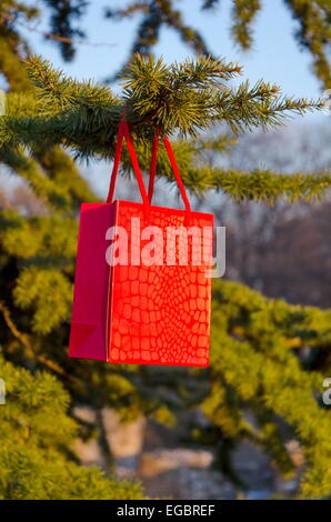 Cadeau saint Valentin dans un sac de papier rouge placé à l'extérieur sur un sapin Banque D'Images