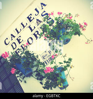 Lane de fleurs (calleja de las Flores) à Cordoba, en Espagne. Style rétro droit filtré Banque D'Images