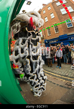 La danse du lion en Chine Ville London à la célébration de l'année des brebis ou chèvre 2015 Banque D'Images