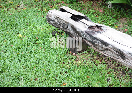 Vieux banc en bois, sur l'herbe verte dans le jardin. Banque D'Images