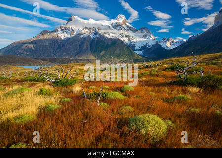 Los Cuernos s'élevant au-dessus de Lago Nordenskjold, Torres del Paine, Patagonie Chilienne Banque D'Images