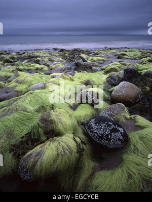 À la recherche des rives d'Arran près de Blackwaterfoot vers la péninsule de Kintyre à Argyll Banque D'Images