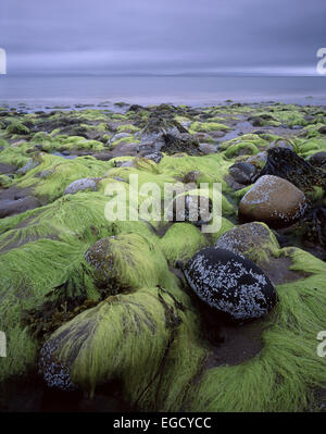 À la recherche des rives d'Arran près de Blackwaterfoot vers la péninsule de Kintyre à Argyll Banque D'Images